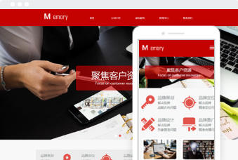 咨詢(xún)公司網(wǎng)站模板