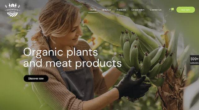 2020年的5大網(wǎng)頁設(shè)計(jì)趨勢(shì)將伴隨我們