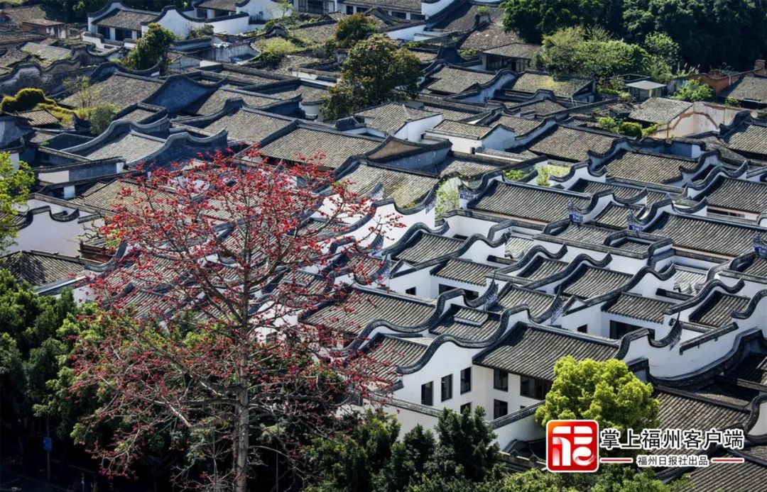 福州城市形象標(biāo)識(shí)設(shè)計(jì)萬(wàn)眾期待中 福州城市形象標(biāo)識(shí)設(shè)計(jì)萬(wàn)眾期待中